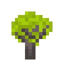 promenade:sap_maple_sapling