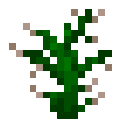 verdant:item/thorn_bush