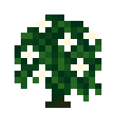 verdant:item/wild_coffee