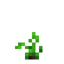 verdant:item/wild_ube